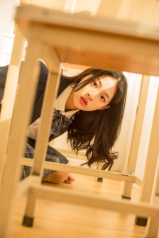 花翎飞盗